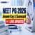 NBEMS NEET PG 2026 Answer Key Link Live Updates: Release Date, Official Scorecard at natboard.edu.in